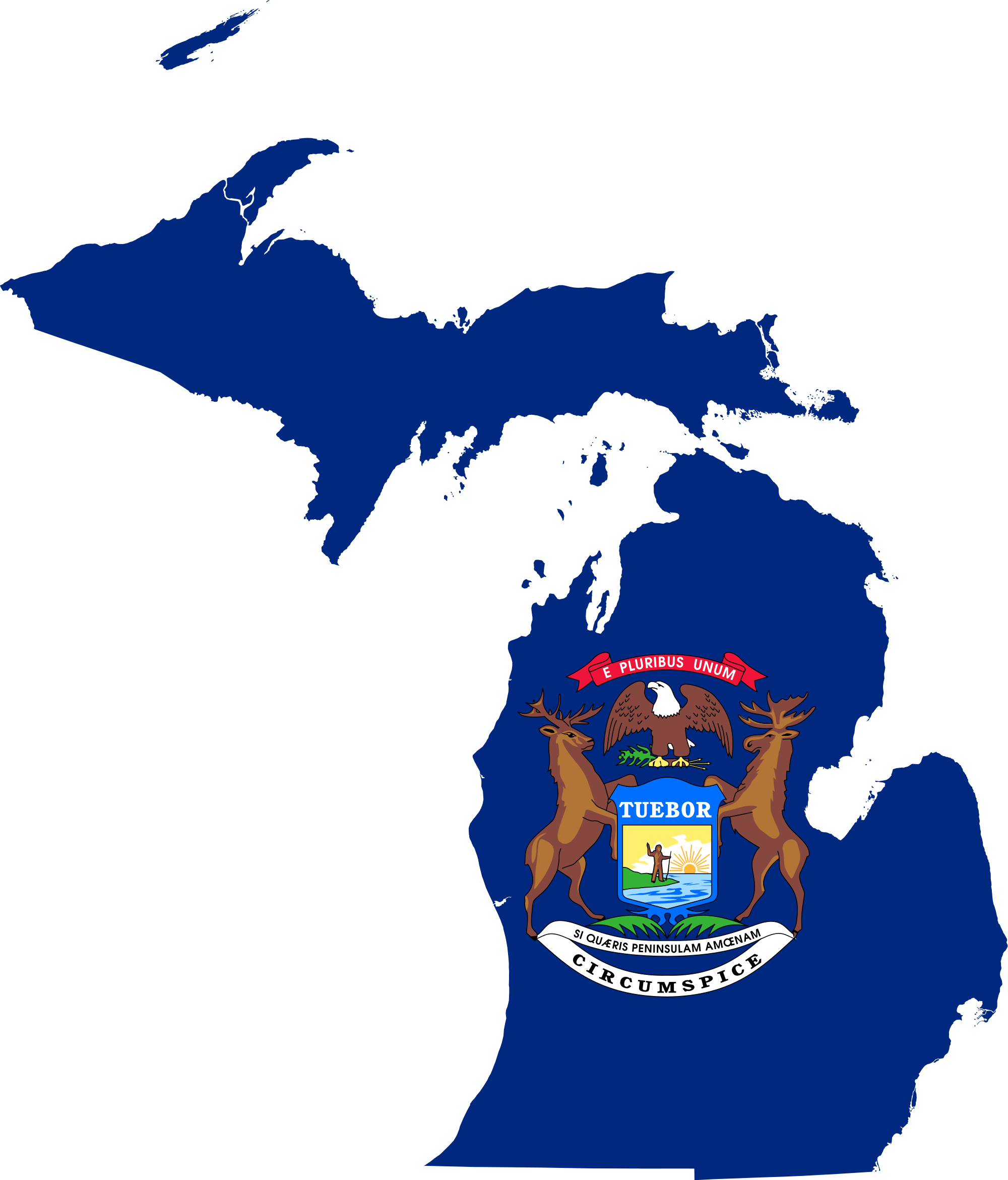 Computer Forensics Services provided in Michigan 